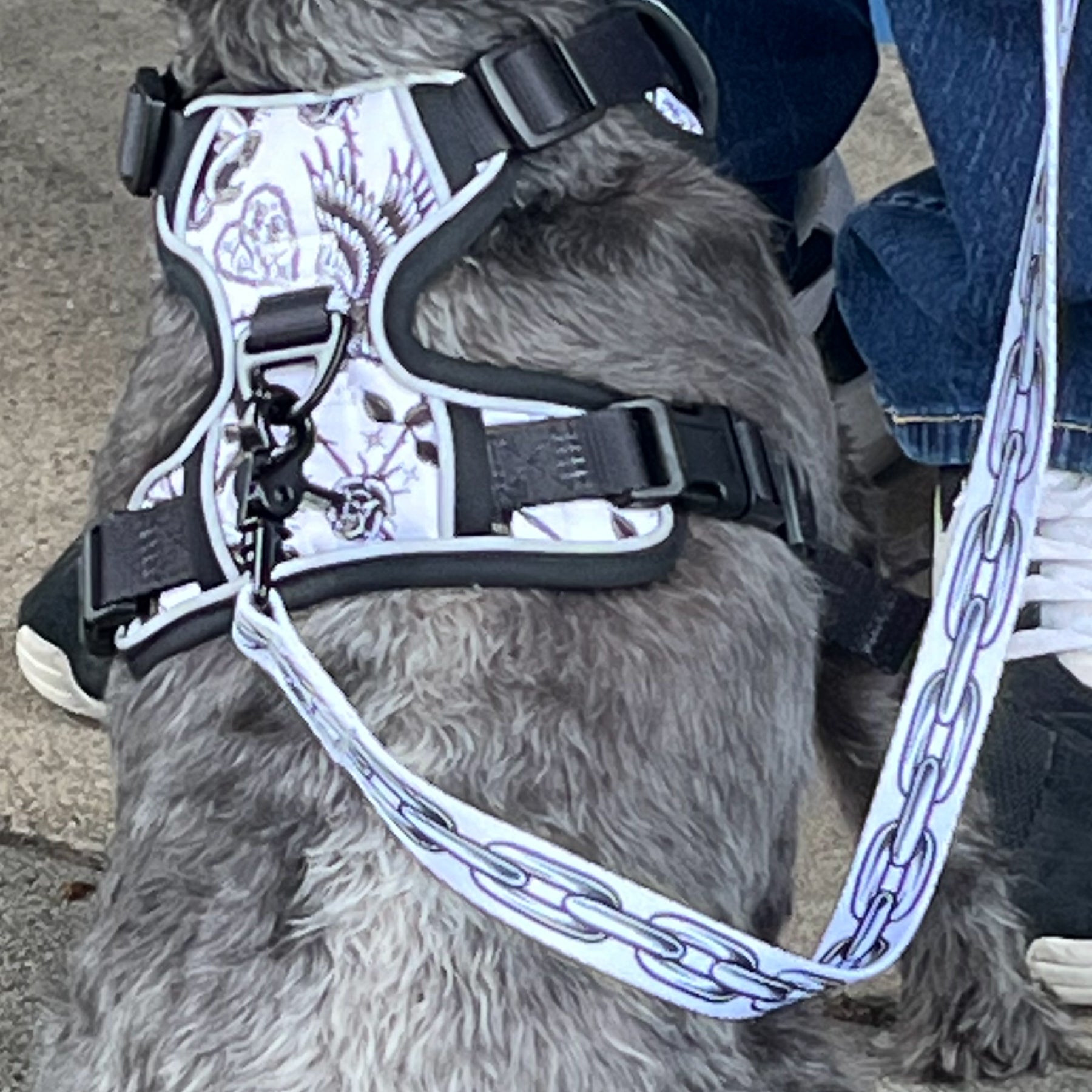 TIM HENDRICKS CHAIN LEASH