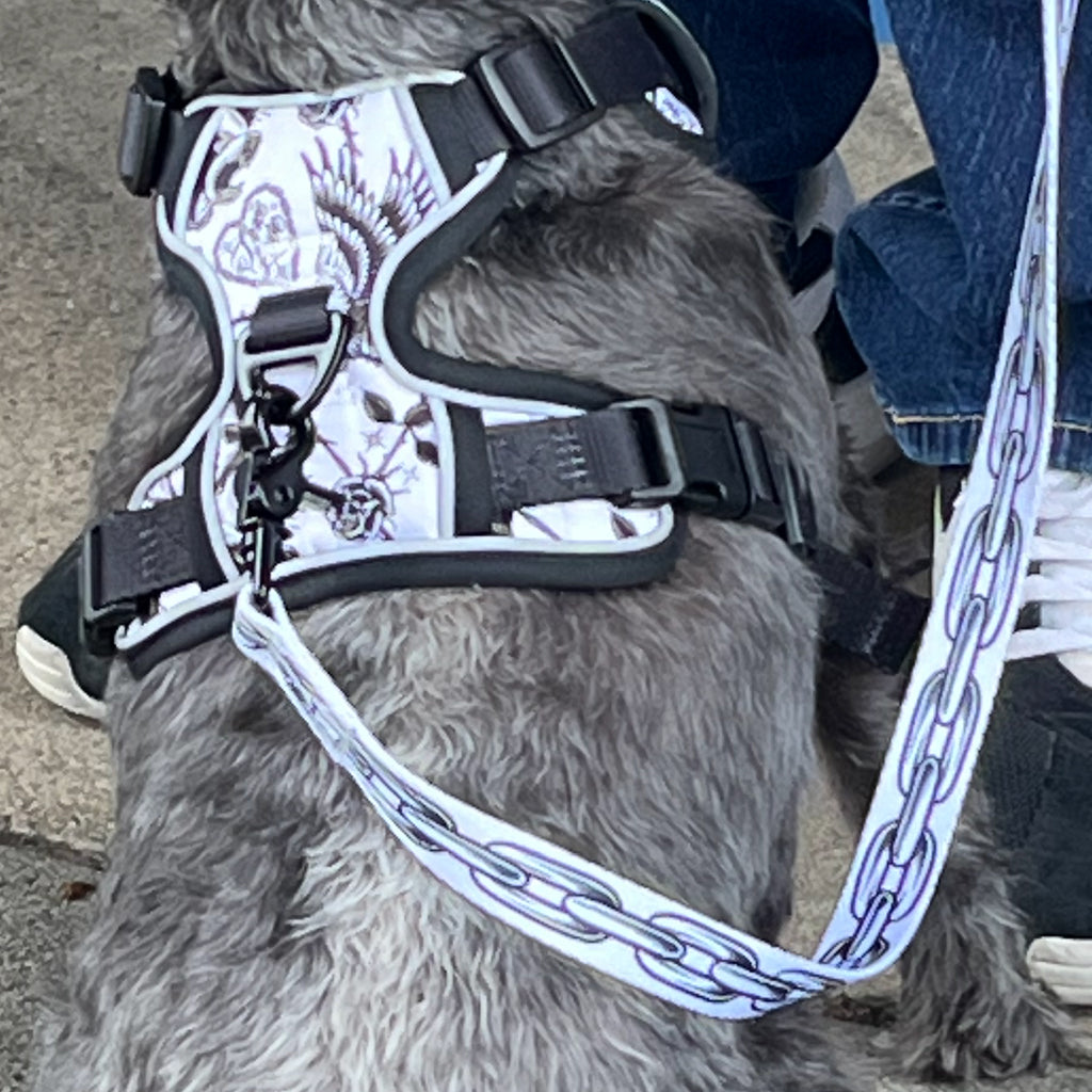 TIM HENDRICKS HARNESS