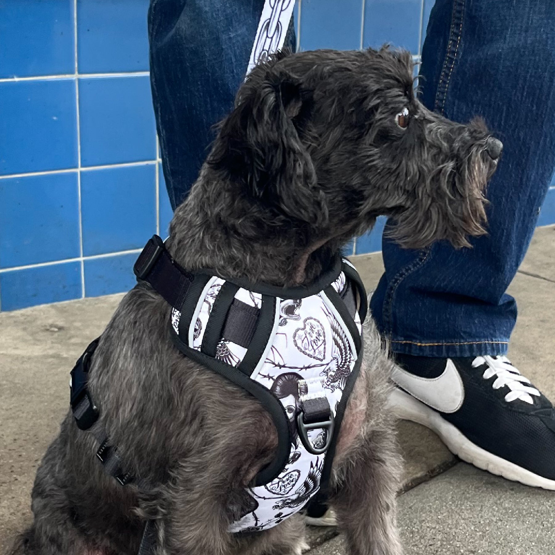 TIM HENDRICKS HARNESS