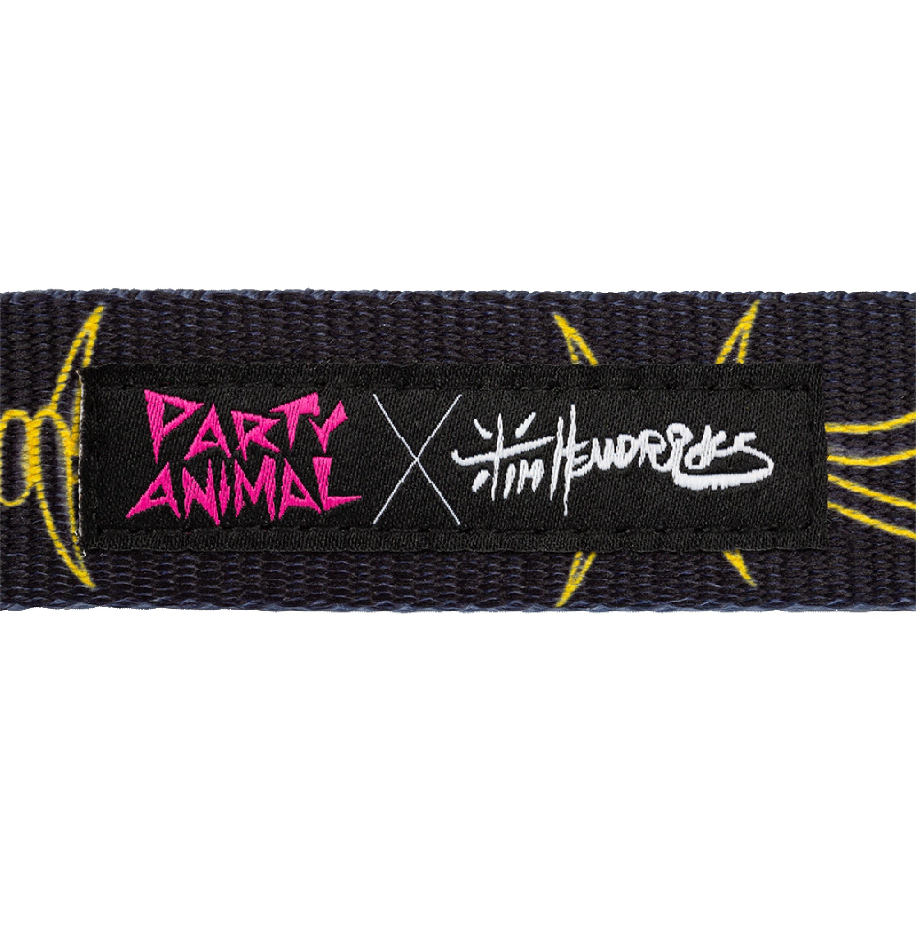 TIM HENDRICKS BARBWIRE LEASH